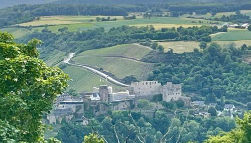 #3 Studioapartment mit Loreleyblick direkt an der schönsten Etappe des Rheinsteigs - Foto 4