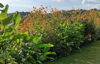 Holiday Villa in Sabina with Private Pool - Foto 58