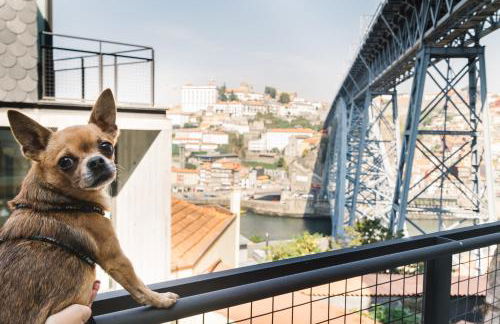 Oh! Porto Apartments - Foto 58