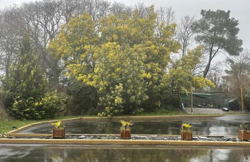 Gîtes d Izel2 entre terre et mer prés d'un golf - Foto 24