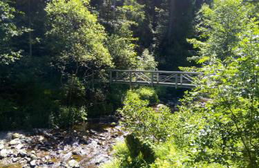 Ferienwohnung Waldrast - Photo 17