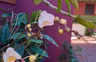 Vila Figueiredo das Donas - Photo 24