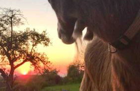 Apartment im Wanderparadies Siebengebirge - Foto 13