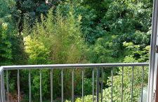 Ferienwohnung - Foto 16