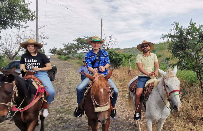 Horseback Riding in Tequila & Distillery Visit with Tasting - Photo 3
