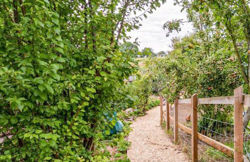 Fig Tree Shepherds Hut - Cottage - Foto 7