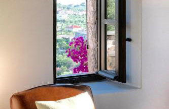 PositiveSpace Olive Tree - Foto 33