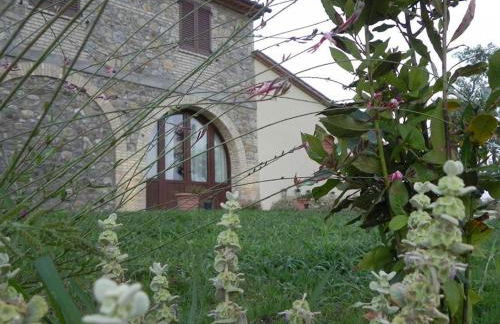 Agriturismo Sugheretello - Foto 57