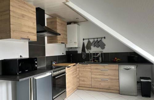 Appartement T3 rénové 60m2 proche centre Colmar - Foto 12