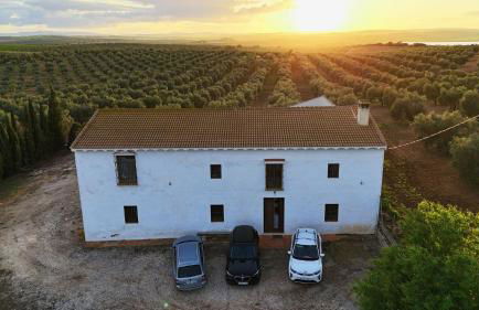 Cortijo La Torquilla Laguna Fuente de Piedra - Foto 10
