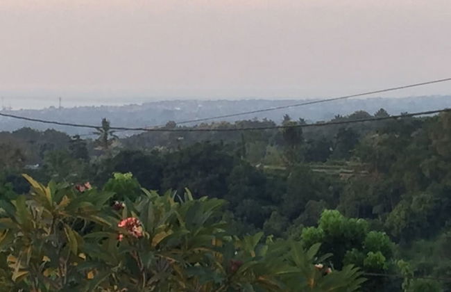 The Kayuputih - Foto 23