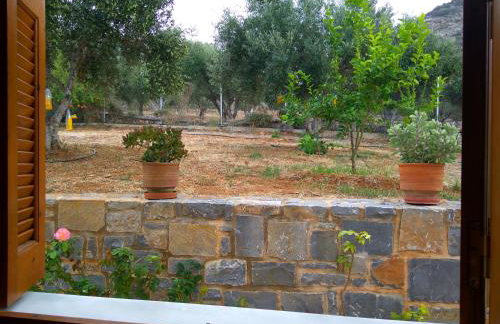 House of Polymnia - Photo 39