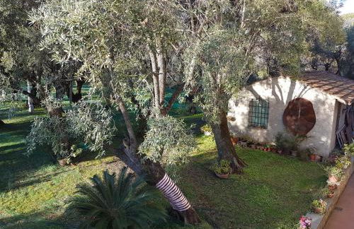 Antico Uliveto - Foto 43