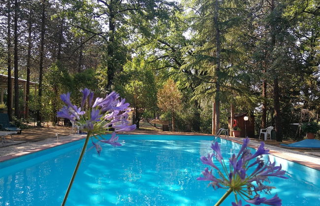 Agriturismo Il Pornelleto - Villa Alari - Foto 63