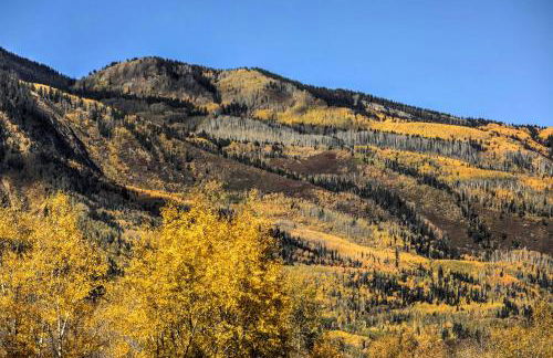 Marble Hideaway Cabin with Mountain Views and Deck! - Foto 32