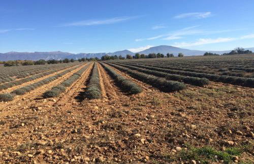 Verdon Views Pool & Terrace - Foto 27