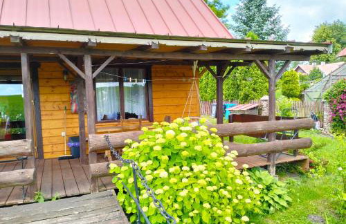 Nad żabim stawem - Foto 8