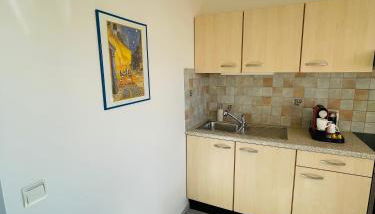 SunnyF2- EuroAiport-Basel-TrainStation-CityCenter - Foto 4