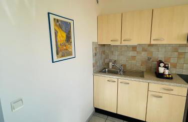 SunnyF2- EuroAiport-Basel-TrainStation-CityCenter - Photo 4