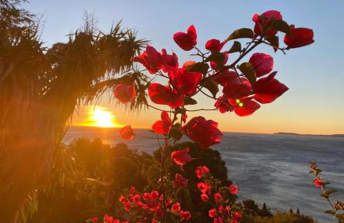 Villa les Alizés - Foto 38