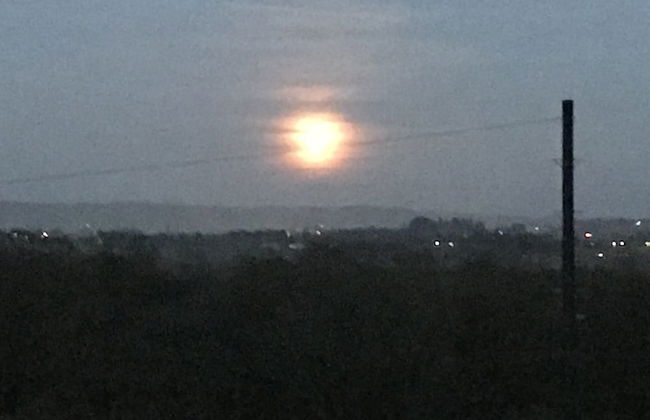 Shepherds Hut-1 Bed-hot Tub -views - Foto 34