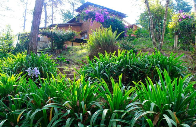 Country House In The Woods With River - Foto 24