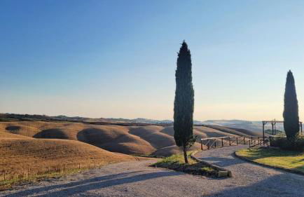 Casa Girasole Podere Fossaccio - Foto 18