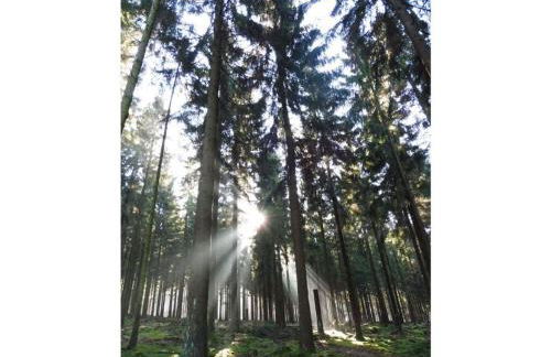 Cosy Apartment in Nohfelden - Foto 43