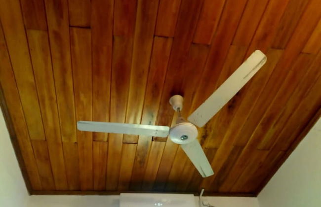 Sana Guest - Photo 5