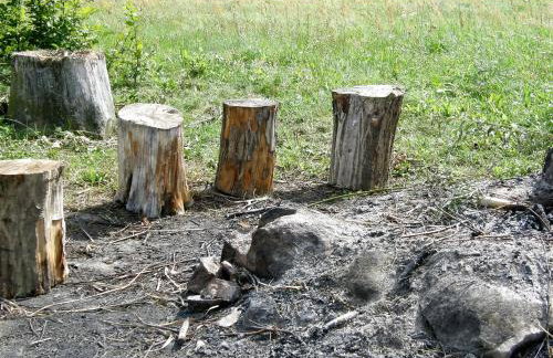 Agroturystyka "Bociek" - Foto 24