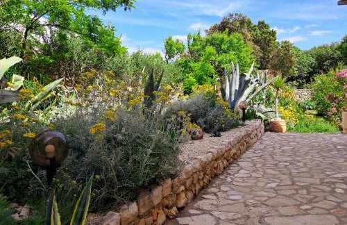 Villa Cesarica Novalja - Photo 63