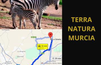 Villa Cora Murcia , Oasis De Relax - Foto 52