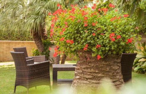 Residence Torre Del Mar - Foto 22