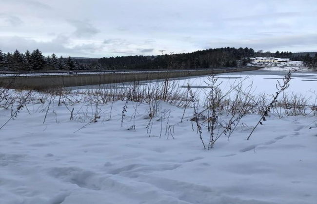 Tranquil Escape in Rauschenbach - Foto 26