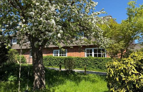 Ferienhaus Niels Hus Dagebüll - Foto 31