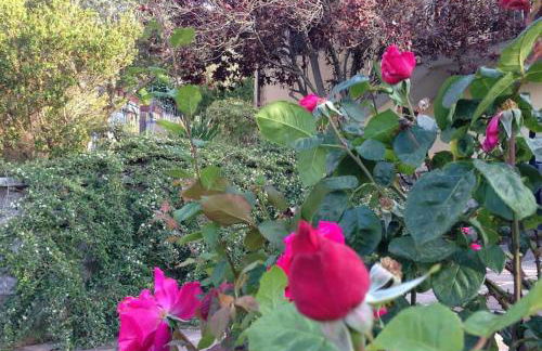 Casa in Gallura - Mare, Montagna, Escursioni - Foto 42