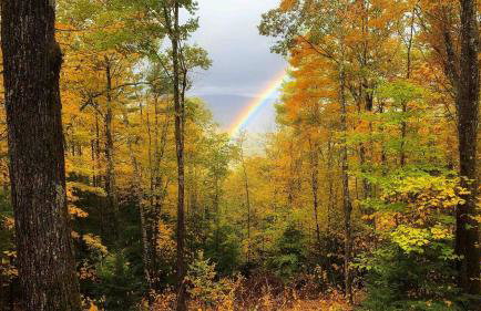 Mountain cabin with views, privacy, and more. - Foto 28