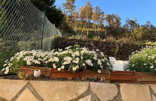 Casa Rural Margarita, relax, vistas, jardín - Foto 65