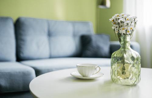 Apartamenty Optimal - Foto 52