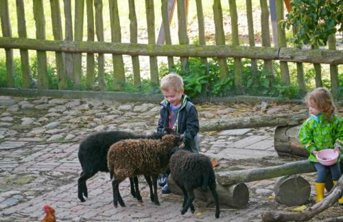 504 Stallgeflüster - Foto 25