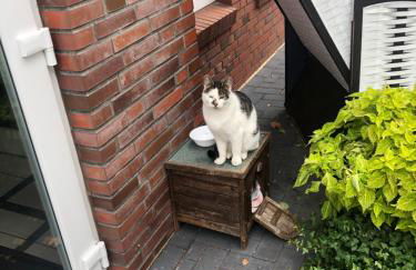 WH Boardinghouse - Foto 16