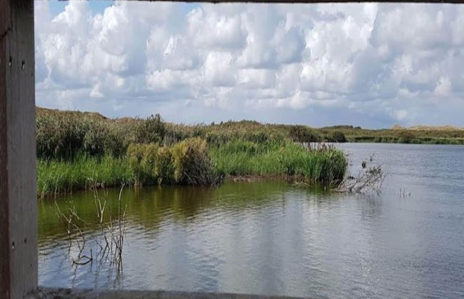 A Lovely Apartment at the Foot of the Dunes - Foto 80