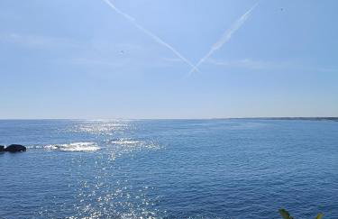 Virgin Mare - Foto 1