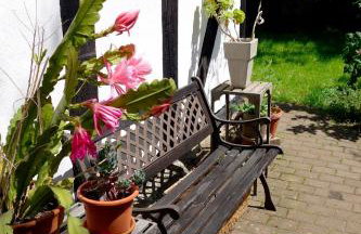 Haus Auenland - Photo 14