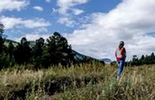 Cozy Rustic Cabin with Riverside Patio on the Pecos River – Pecos, New Mexico - Foto 37