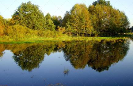 JANISCHs Fewo im Spreewald, Terrasse, großer Garten und Blick inklusive - Foto 22