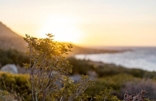 Unique 2 BDR Popi Villa IN FRONT of the SEA - Foto 17