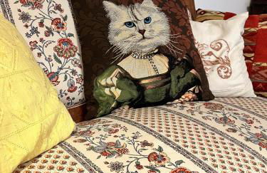 Rustic Retreat with Tuscan Views near Florence - Foto 14