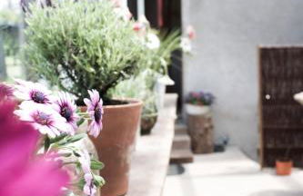 Schwabenhof Ferienwohnung I - Foto 8