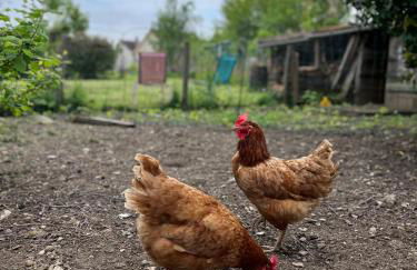 La maison colorée - Foto 7
